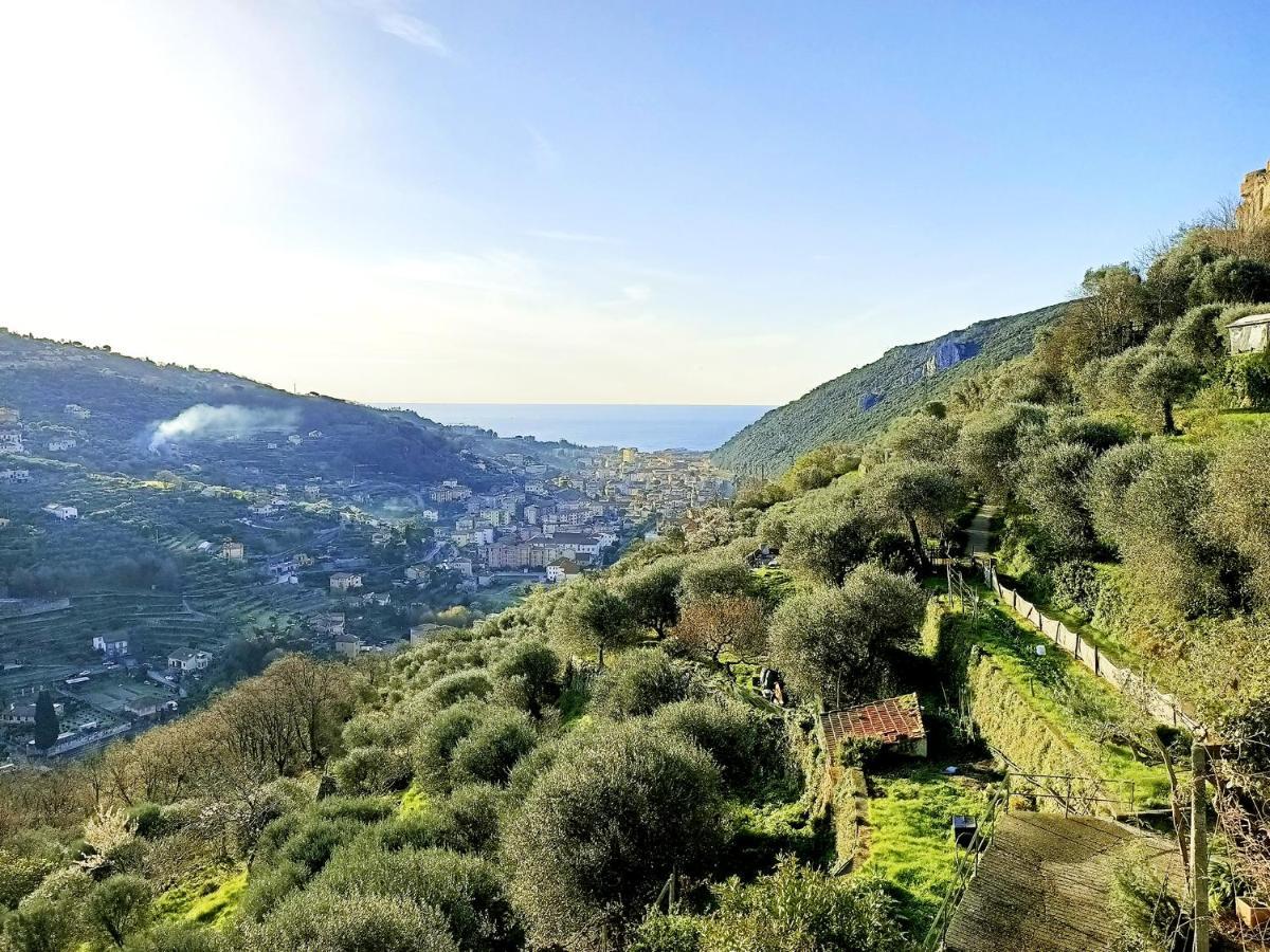 Ca Degli Ulivi Hotel Finale Ligure Exterior photo